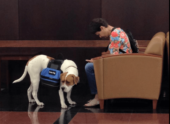 Screen Shot 2016-03-12 at 5.40.23 PM