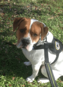 Screen Shot 2016-03-26 at 5.45.23 PM