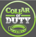 Screen Shot 2020-01-12 at 7.40.55 PM